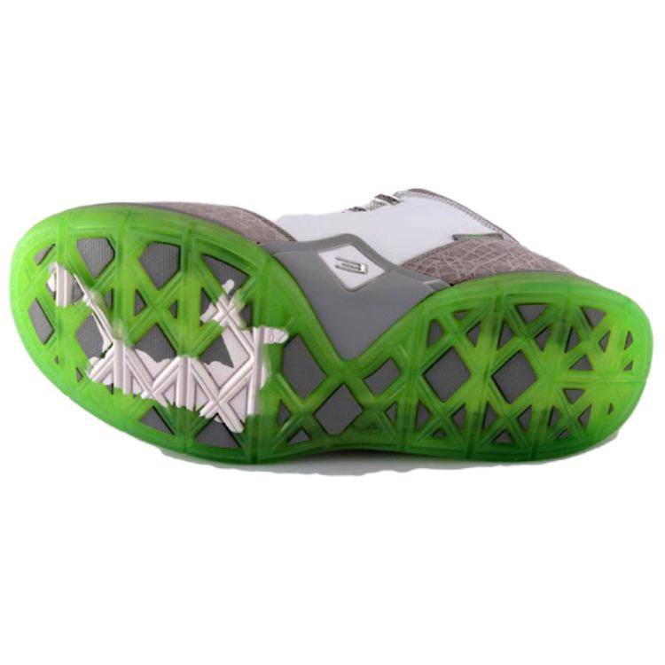 Details for Nike LeBron Zoom Soldier 2 ''Dunkman'' Basketballschuhe 318694-012