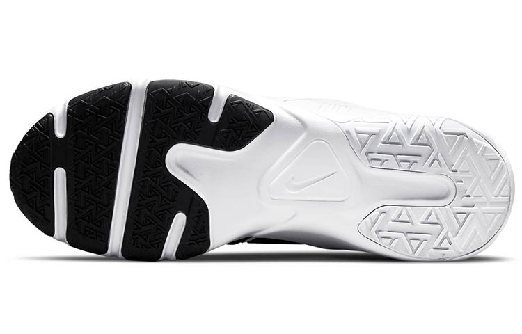 Details for Nike Legend Essential 2 ''Noir Blanc''. CQ9356-015