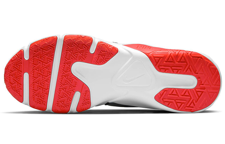 Details for Nike Legend Essential 2 "Reines Platin Metallic Silber" CQ9356-018