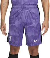 Nike Liverpool 23/24 Purple Training Football Pants with Gradient Logo Print. DX9828-567 Nike Liverpool 23/24 Purple Training Football Pants with Gradient Logo Print. DX9828-567