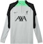 Buy 나이키 리버풀 FC 스트라이크 엘리트 그레이 축구 긴팔 트레이닝 저지 DX2910-013