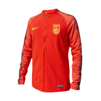 Nike Logo Print Zip-Up Stand Collar Long Sleeve Casual Jacket Men 920880-634