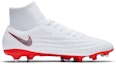Order Nike Magista Obra 2 Academy DF FG 'White Metallic Cool Grey' AH7303-107