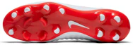 Details for Nike Magista Obra 2 Academy DF FG ''Weiß Metallic Cool Grau'' AH7303-107