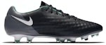 Order Nike Magista Opus 2 FG 'Black Stadium Green' 843813-002