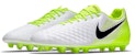 Nike Magista Opus 2 HG 'White Green' 844516-107