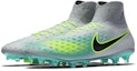 Lookbook Nike Magista Orden 2 FG 'Grey Green' 843812-003