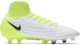 Order Nike Magista Orden 2 FG 'White' 843812-109
