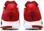 Details for Nike Mamba Fury Team 'Gym Red' Merah Gym CK6632-600