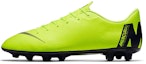 Buy Nike Mercurial Vapor 12 Pro HG 'Hijau Terang' AH8760-701