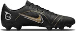 Order Nike Mercurial Vapor 14 Academy MG 'Hitam Emas Metalik' DJ2869-007