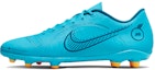 Buy Nike Mercurial Vapor 14 Club MG 'Blueprint Pack' Lelari最佳 DJ2903-484