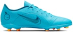Order Nike Mercurial Vapor 14 Club MG 'Blueprint Pack' Lelari最佳 DJ2903-484