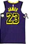 Lookbook 耐克NBA城市版湖人队勒布朗詹姆斯#23篮球球衣紫色 AH6213-508