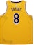 Order Nike NBA Los Angeles Lakers Icon Edition Kobe Bryant Swingman Jersey Amarillo/Purple/White