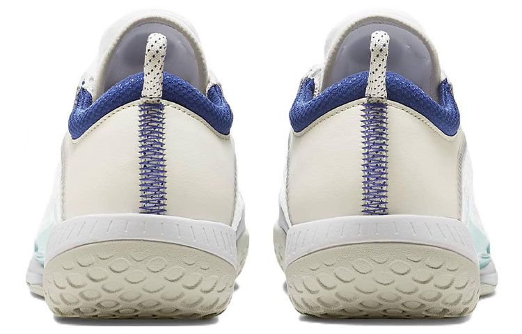 Details for Nike Zoom Court NXT HC 硬地網球場球鞋 白藍