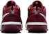 Nike NikeCourt Zoom Pro 'Cedar Team Red' Lelaki Performa Tinggi. DV3278-600