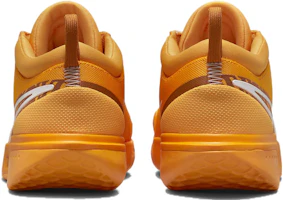 Purchase Nike NikeCourt Zoom Pro HC ''Sundial'' Sneaker DV3278-700
