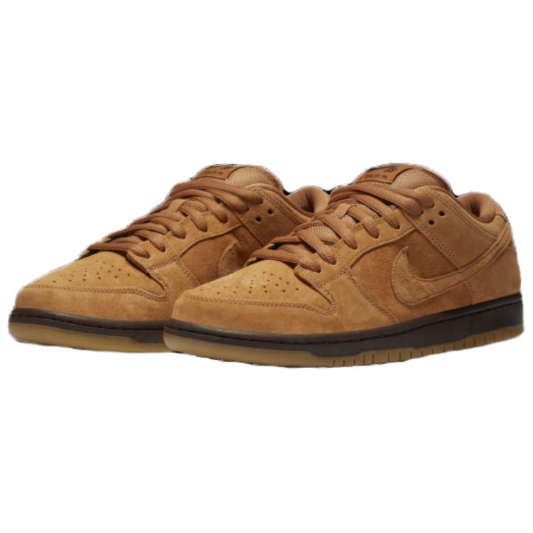 Lookbook Nike Paul Rodriguez Zoom Air Low ‘褐色’ 310802-202