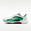 Buy Nike Pegasus 1 G Verde Claro/Verde Estadio/Blanco IO3695-300