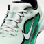 Cheap Nike Pegasus 1 G Verde Claro/Verde Estadio/Blanco IO3695-300