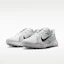 Details for Nike Pegasus 1 G White/Summit White/Metallic Silver/Black IR3241-100