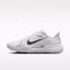 Buy Nike Pegasus 1 Putih/Summit White/Metallic Silver/Hitam IR3240-100