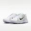Details for Nike Pegasus 1 White/Summit White/Metallic Silver/Black IR3240-100
