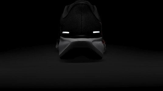 ナイキ ペガサス 41『ブラッククールグレー』 FD2722-006 2