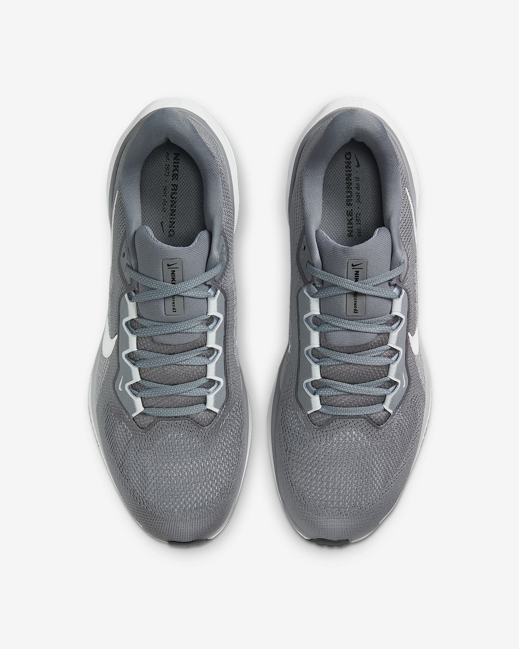 Purchase Nike Pegasus 41 Direct Exclusive Edition FD2722-009