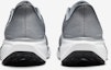 Details for Nike Pegasus 41 Edisi Eksklusif Terus FD2722-009