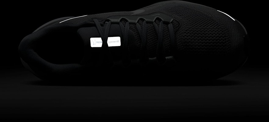 Nike Pegasus 41 Direct Exclusive Edition FD2722-009 1