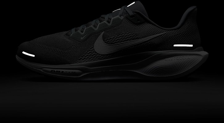 Nike Pegasus 41 Edisi Eksklusif Terus FD2722-009 2