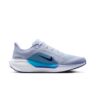 Shop Nike 飛馬41 FD2722-014