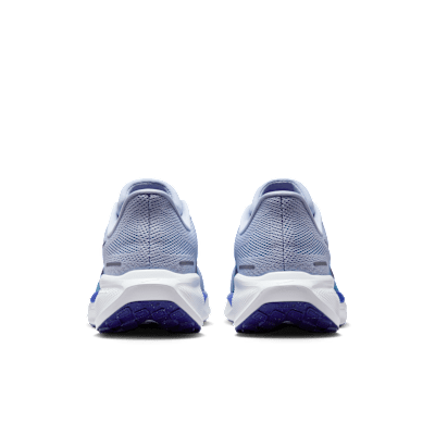 Sizing Nike 飛馬41 FD2722-014