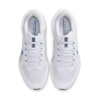 Shop ナイキ ペガサス 41 FD2722-110