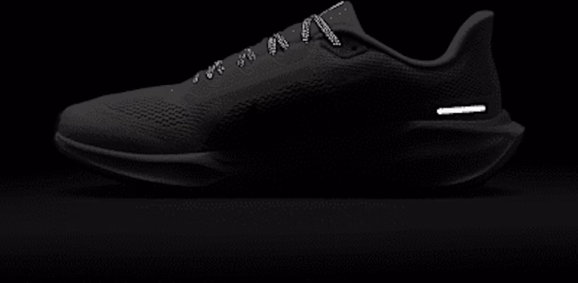 Nike Pegasus 41 FD2722-113 4
