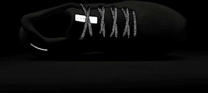 Nike Pegasus 41 Sepatu Lari FD2722-113 1