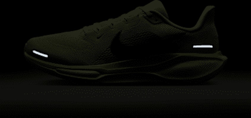 Nike Pegasus 41 FD2722-303 3