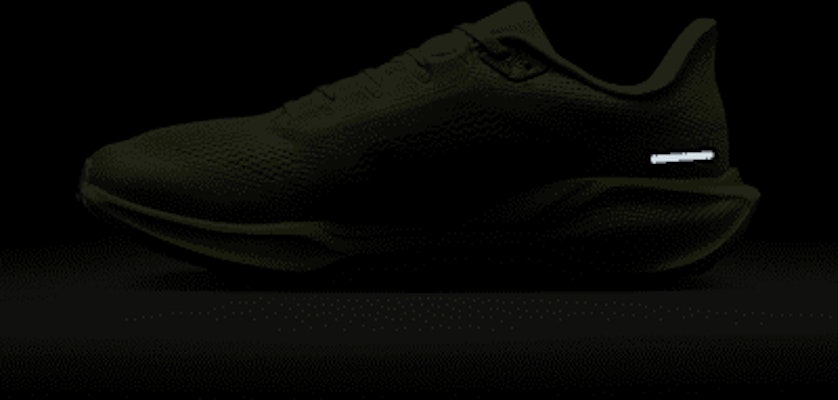 Nike Pegasus 41 FD2722-303 4