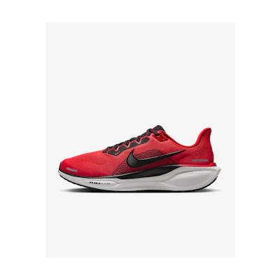 Nike Pegasus 41