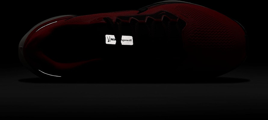 Nike Pegasus 41 運動鞋 FD2722-602 1