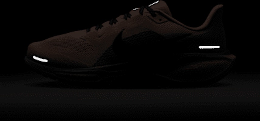 Nike Pegasus 41 FD2722-603 3