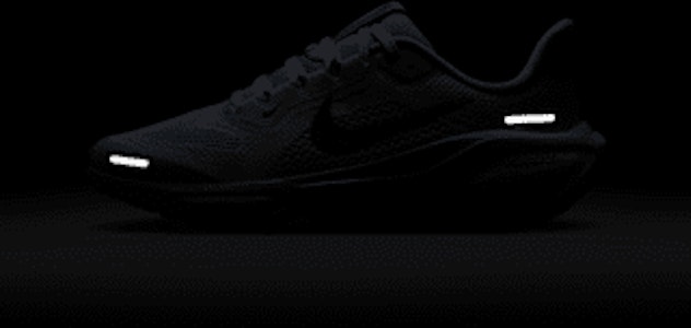 ナイキ ペガサス 41 FN5041-004 3