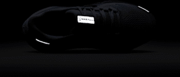 ナイキ ペガサス 41 FN5041-004 1