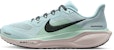 Nike Pegasus 41 Glacier Ice/Mint Foam/Hyper Pink/Black FD2722-406