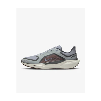Nike Pegasus 41 GORE-TEX 'Light Pumice Burgundy'