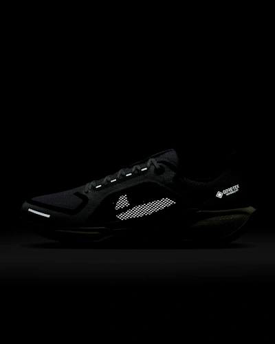 Nike Pegasus 41 GORE-TEX 'Light Pumice Burgundy'