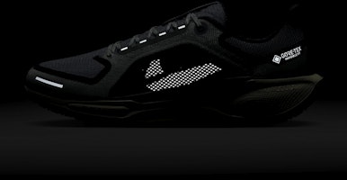 ナイキ ペガサス 41 GORE-TEX 「ライトパミスバーガンディ」 FQ1356-003 3