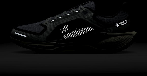 Nike Pegasus 41 GORE-TEX '浅浮石勃艮第' 女鞋 FQ1356-003 3